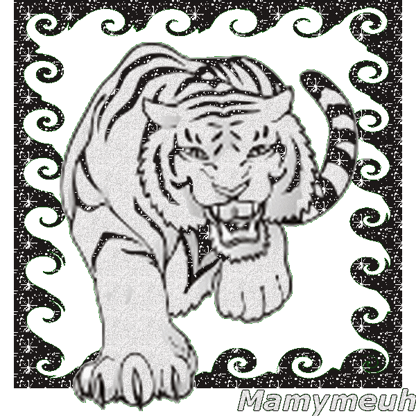 tigre