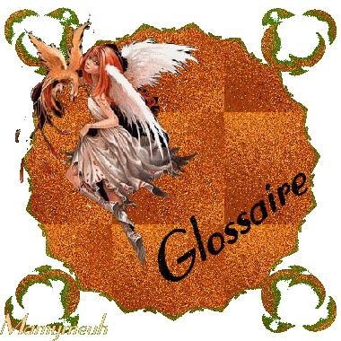 Glossaire