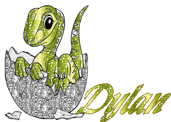 dylan