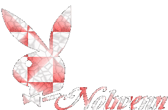 Nolwenn